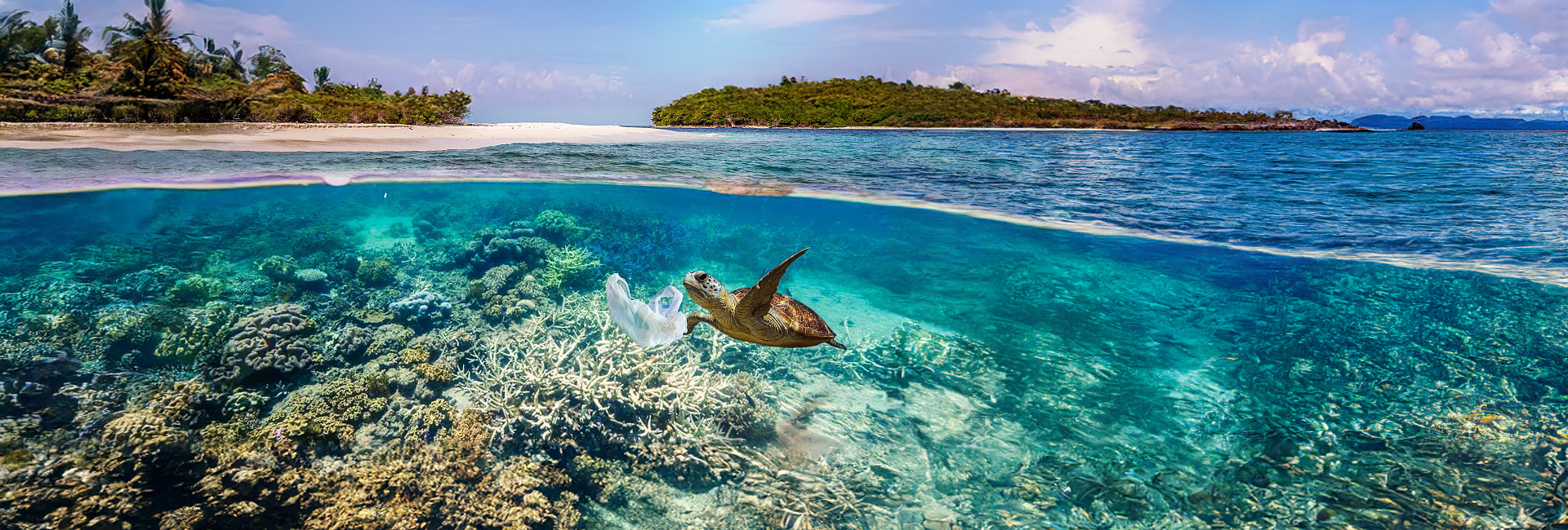 World Habitat Day 2017