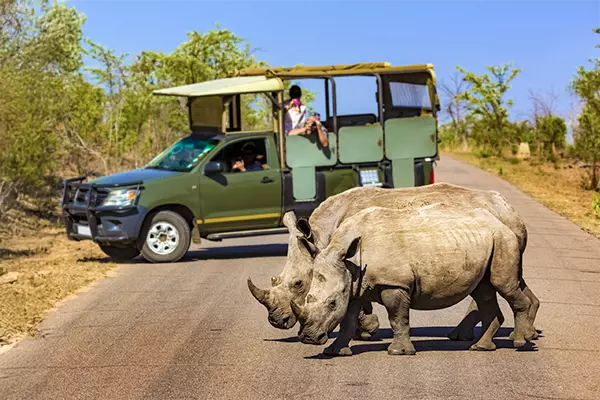 Kruger National Park Game Drive - Chimp Eden - The Jane Goodall Institute