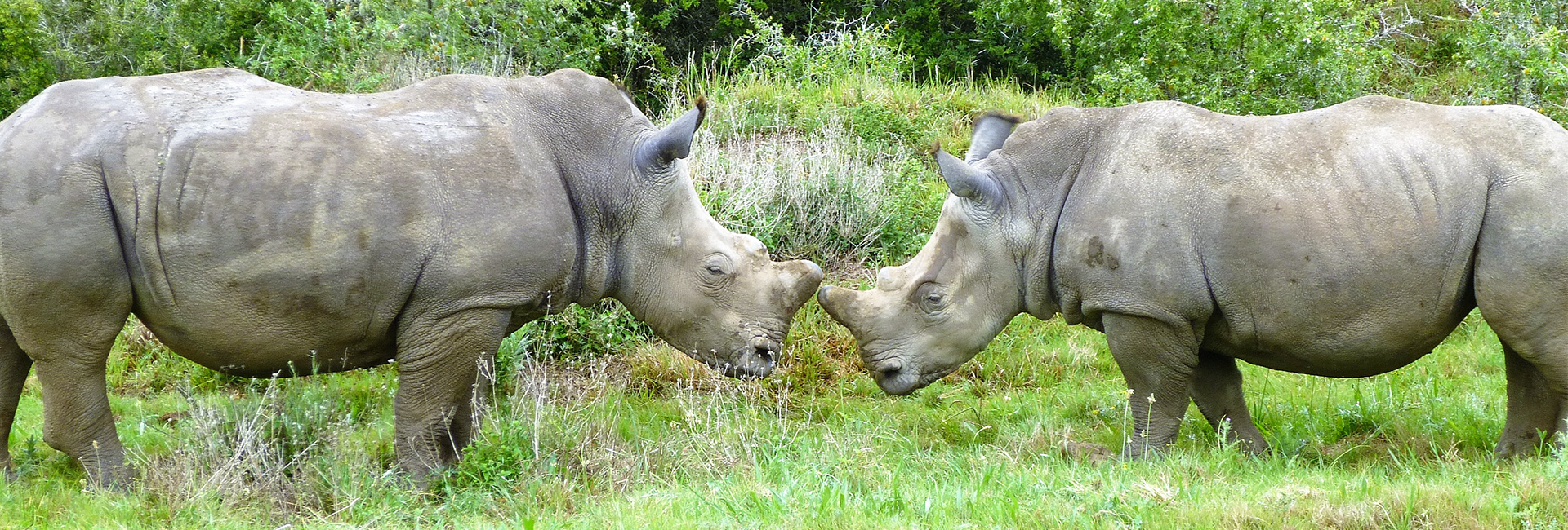 David's Journey as a Return Volunteer in Africa and Sri Lanka!