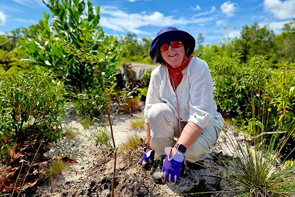 Reforestation & Tree Care