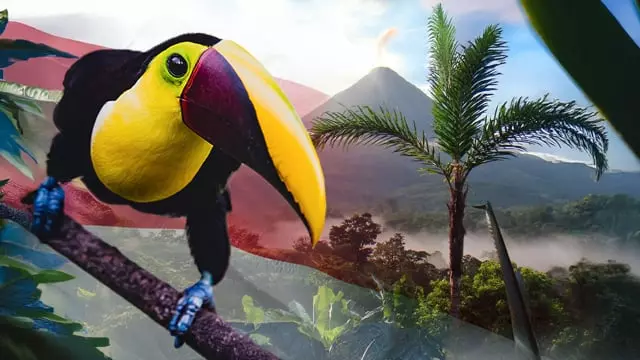 Volunteer in Costa Rica