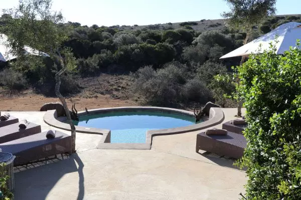 Luxury Lodge at Amakhala