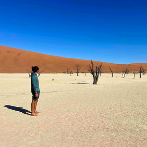 Ryan's Review: 5 Reasons to Book the Namibia Wildlife Sanctuary Right Now