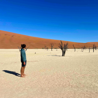 Ryan's Review: 5 Reasons to Book the Namibia Wildlife Sanctuary Right Now