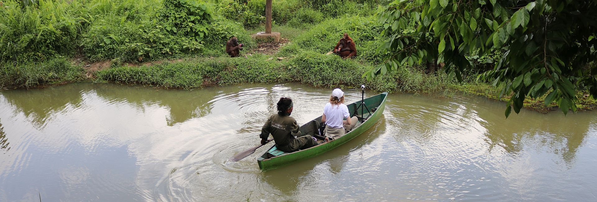 Volunteer Week - See How We're Celebrating, And Find Out How YOU Can Win A Prize!