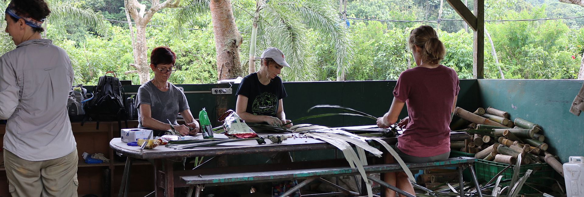 Volunteer Achievements at Samboja - What Have TGP's Superstars Done This Year!