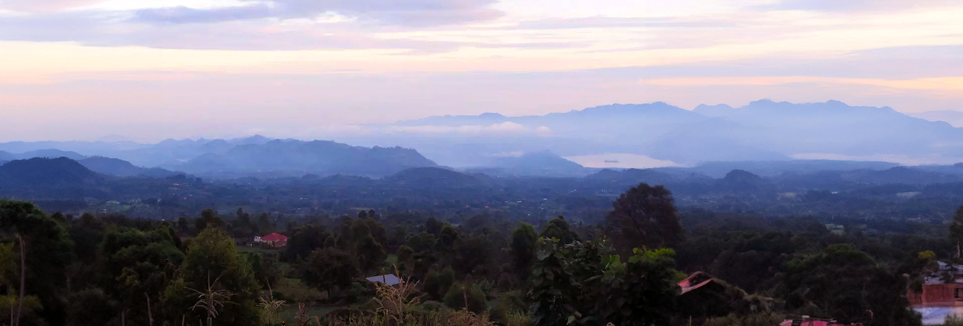 Angie Joins The Great Gorilla Project