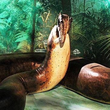 Halloween Horrors - The Top 8 Animals You Will Be Glad Are Extinct 
