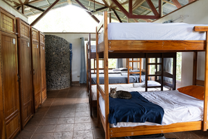 Accommodation at the Sloth Conservation & Wildlife Experience