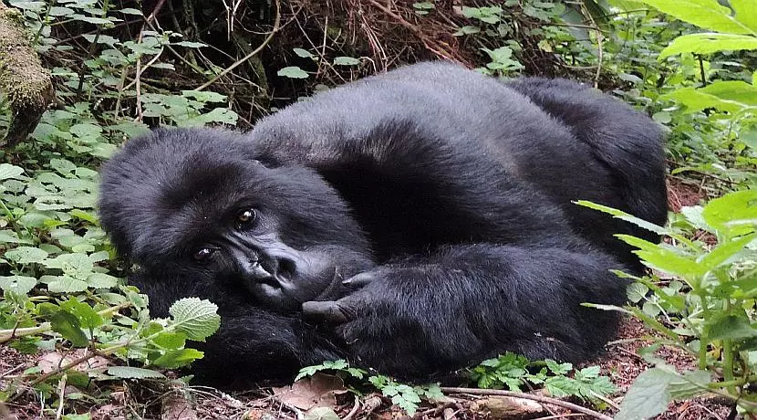 Wildlife Photography Competition - The Top 3!