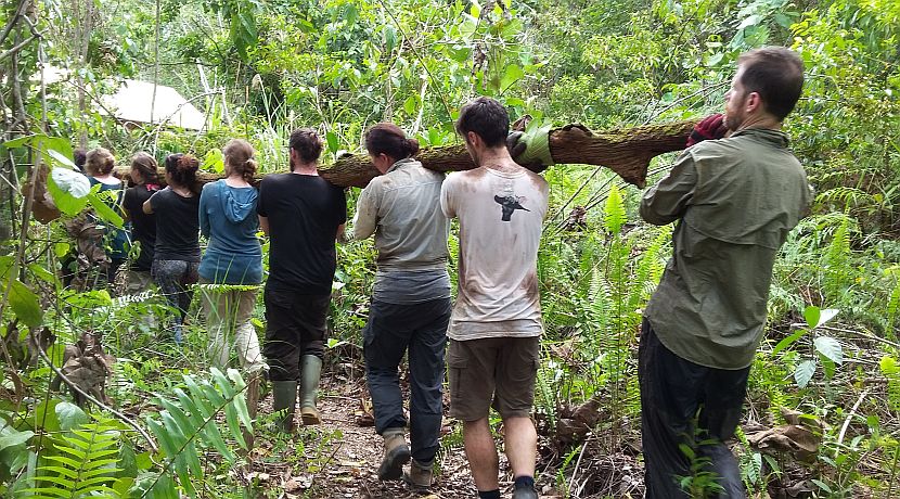 March Updates From The Samboja Lestari Orangutan Project!