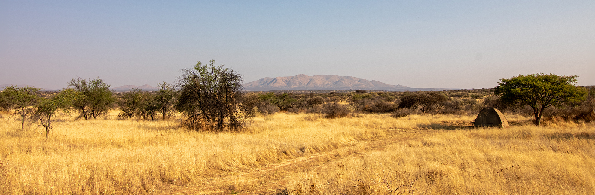 23 Animals Released, 44 Have A New Home & 30 Have Received Medical Care - It's Been A Busy 2017 At The Namibia Wildlife Sanctuary!