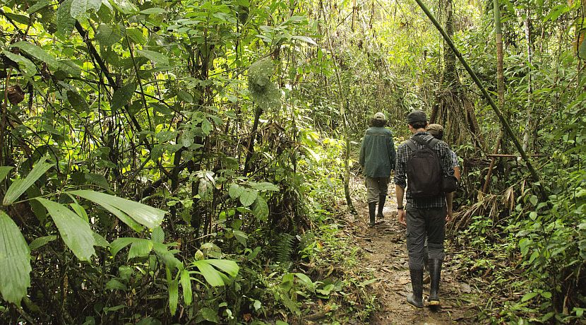 Chasing the Elusive Hunter