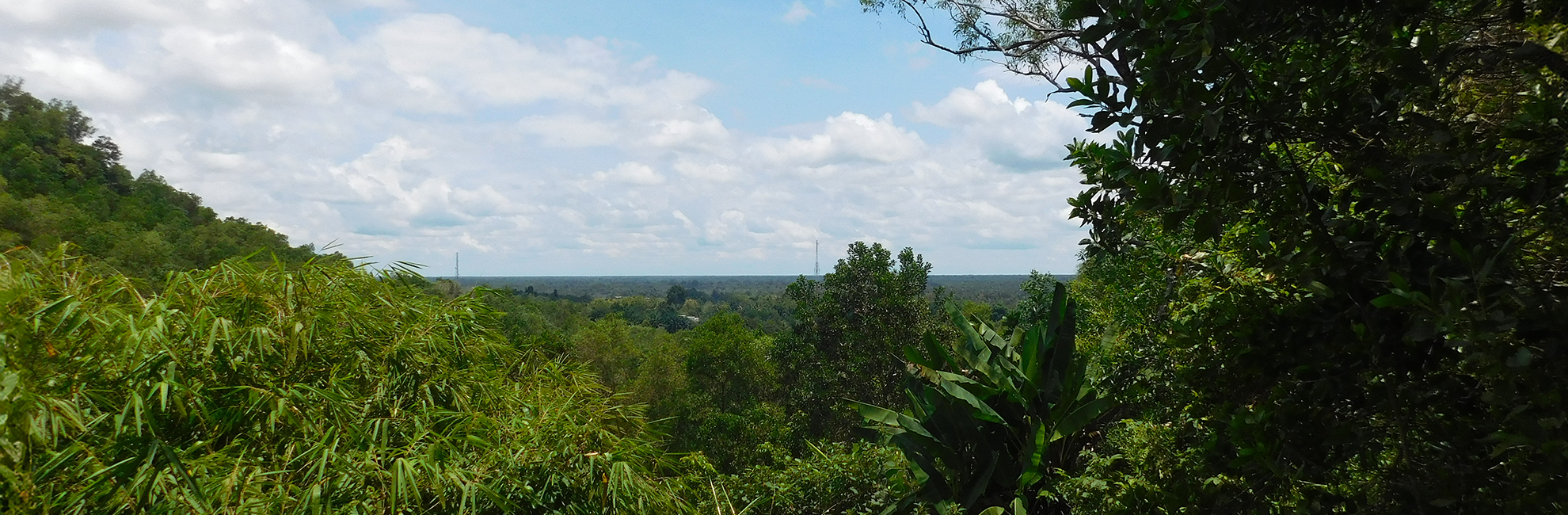 Nicki Reviews Her Experience At The Nyaru Menteng Orangutan Sanctuary!