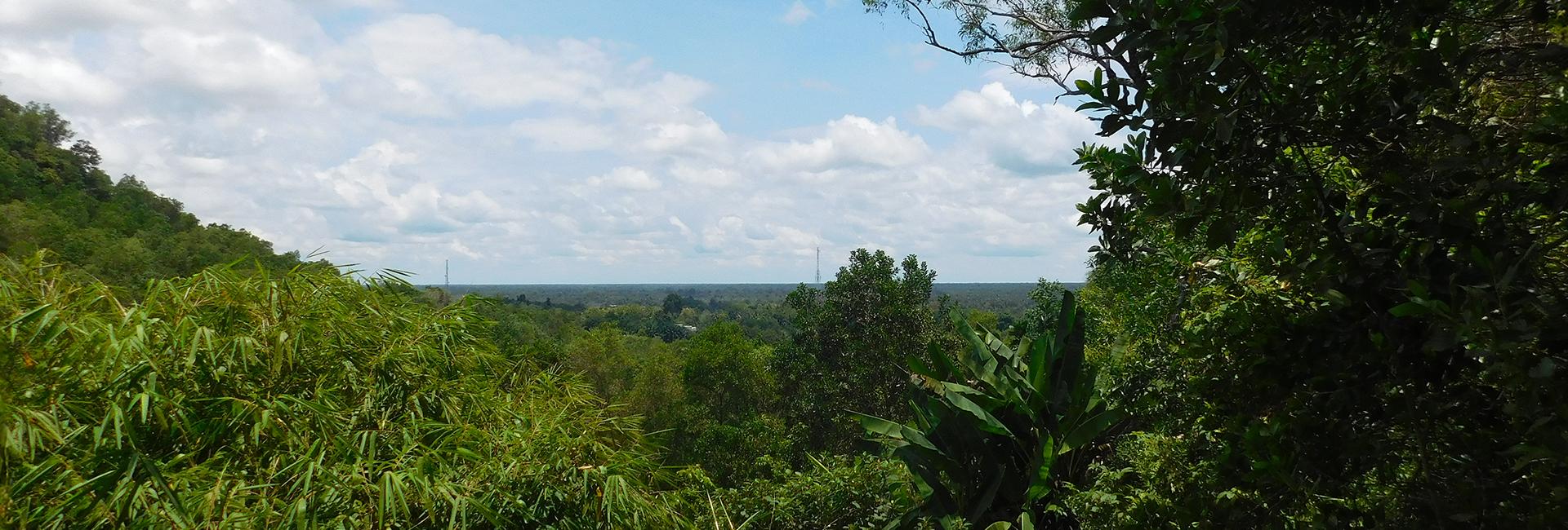 Nicki Reviews Her Experience At The Nyaru Menteng Orangutan Sanctuary!