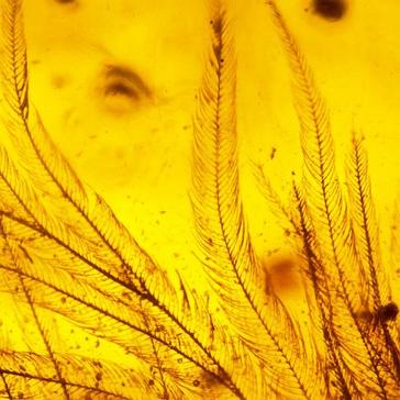 The Year In Review - 2016's Top Discoveries!