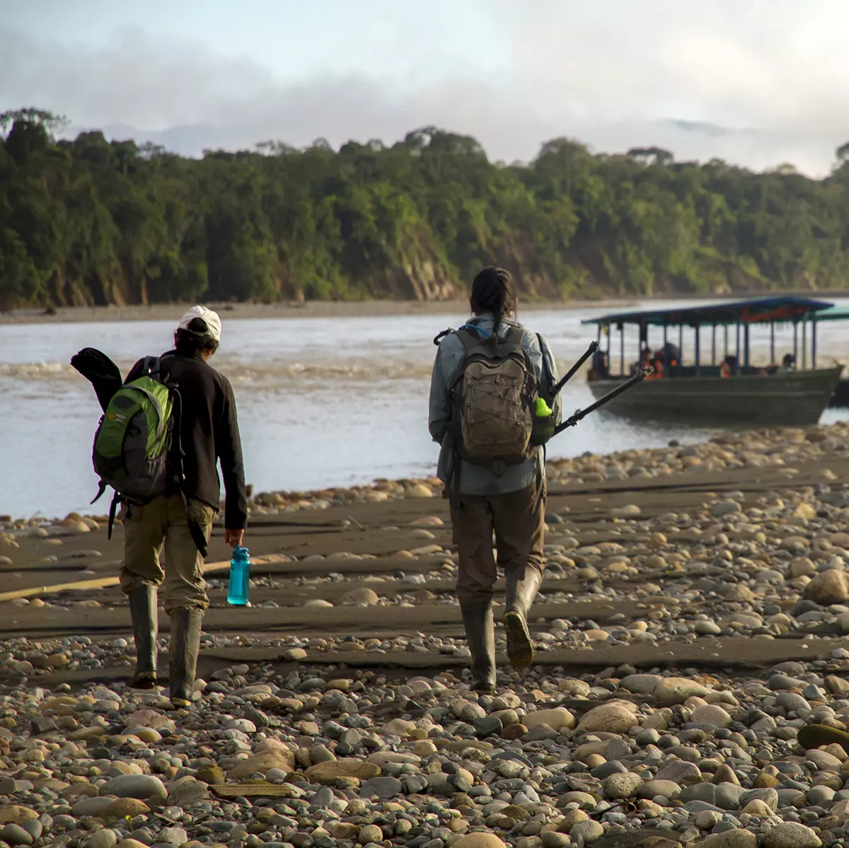 Amazon Conservation Project in Peru | The Great Projects