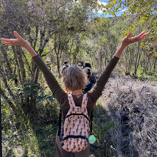 Our First Volunteer Group Out in Madagascar: Here’s What They’ve Been Doing!