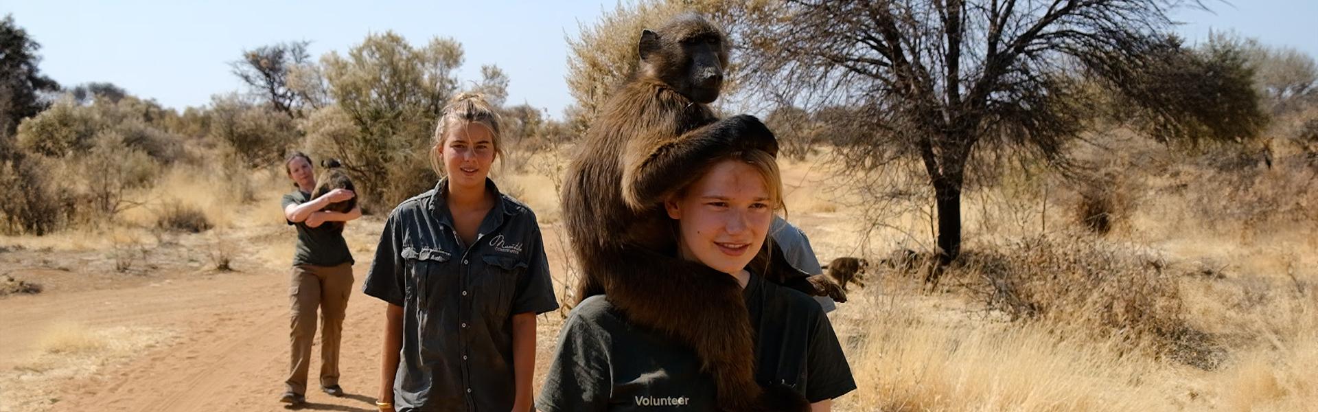 Wildlife Volunteering Projects Abroad
