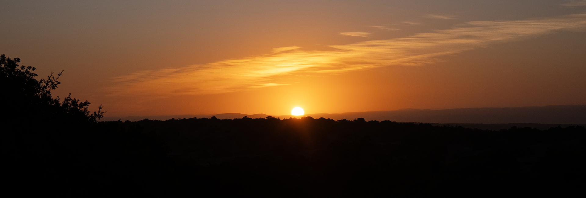 Wildlife Volunteering in South Africa: Travel Consultant Katie’s First-Hand Project Reviews