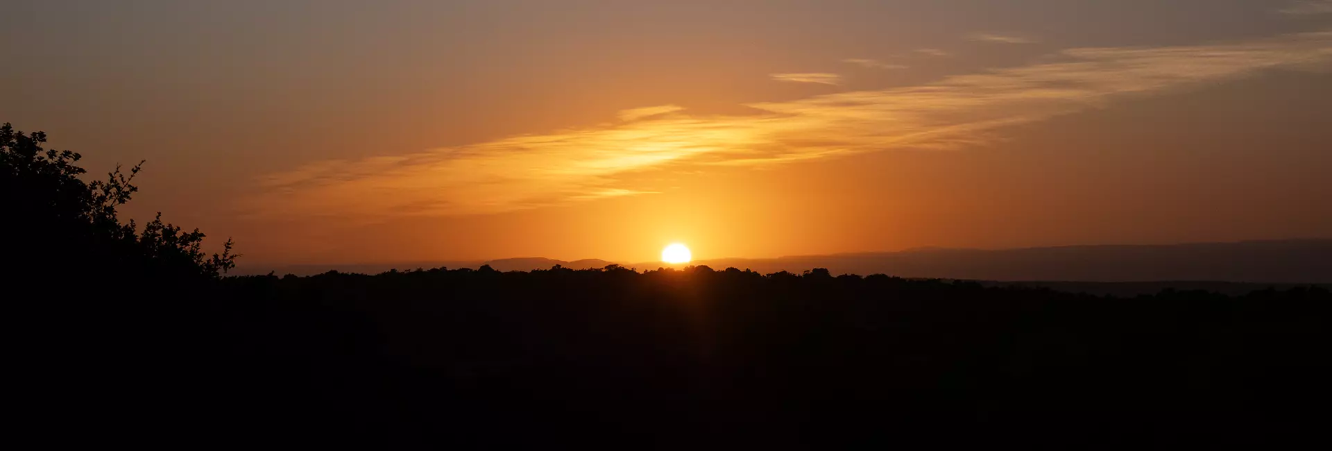 Wildlife Volunteering in South Africa: Travel Consultant Katie’s First-Hand Project Reviews