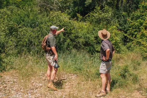 Counter-Poaching Patrols