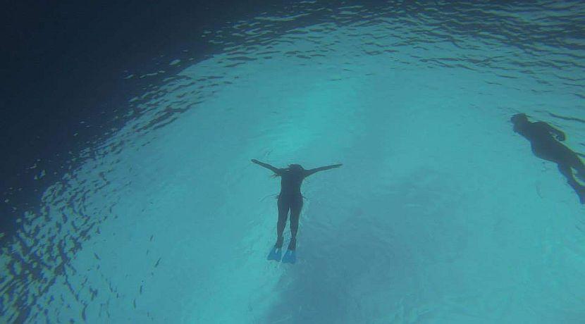 Read Our Volunteer Review of The Maldives Whale Shark Project!