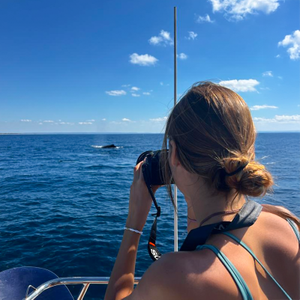 Best Marine Conservation Volunteer Programs You Can Join in 2025