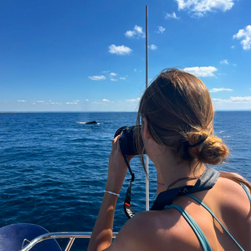 Best Marine Conservation Volunteer Programs You Can Join in 2025