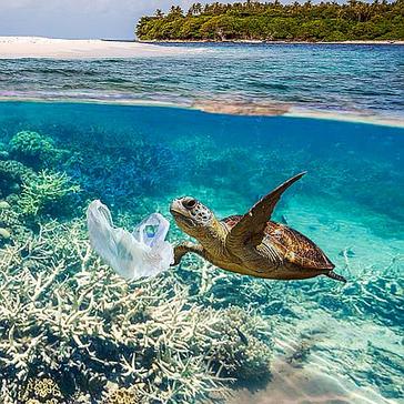 World Habitat Day 2017