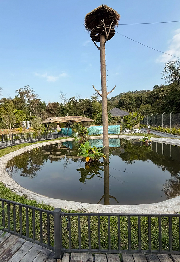 Laos Wildlife Sanctuary | The Great Projects