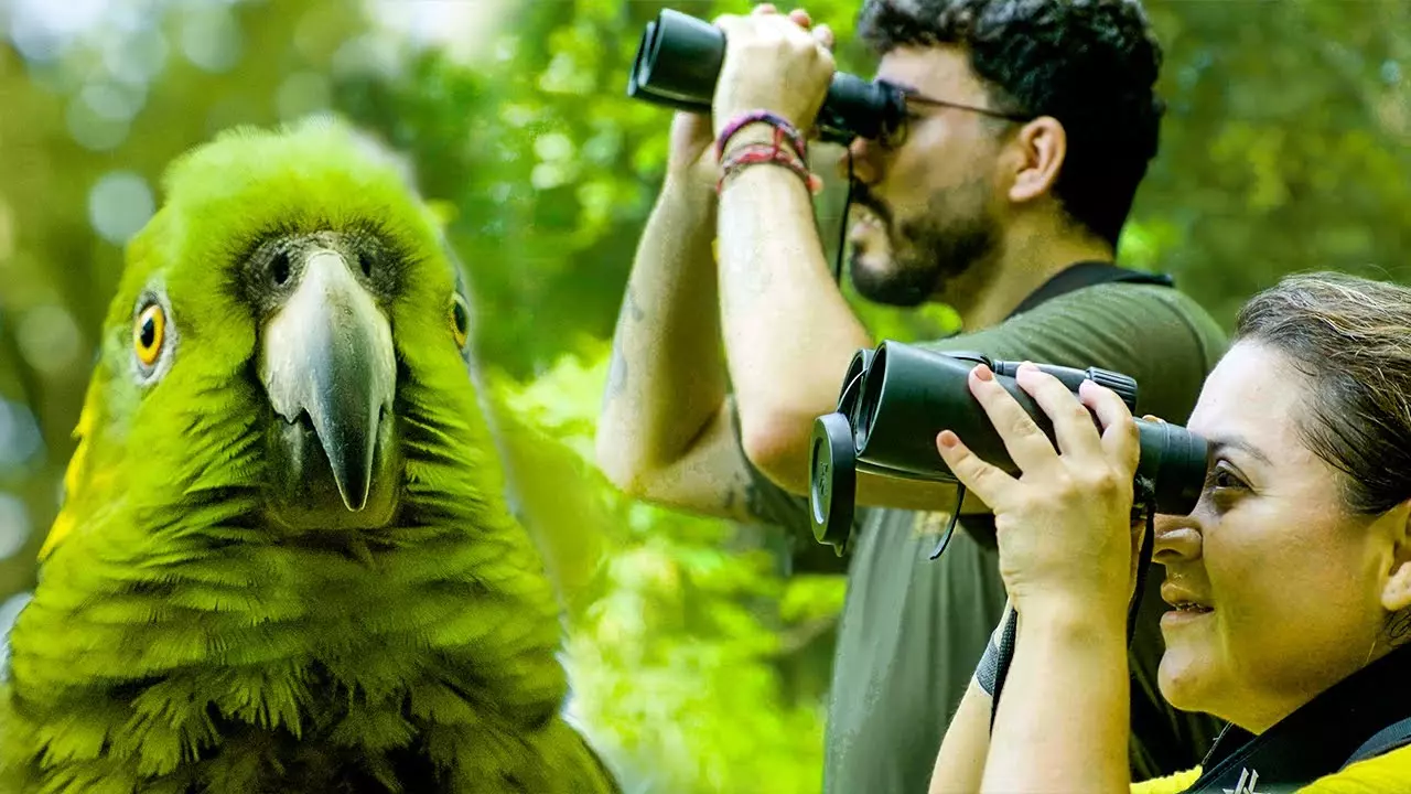 Wildlife Rehabilitation and Release in Costa Rica - Project Video