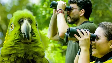 Wildlife Rehabilitation and Release in Costa Rica - Project Video