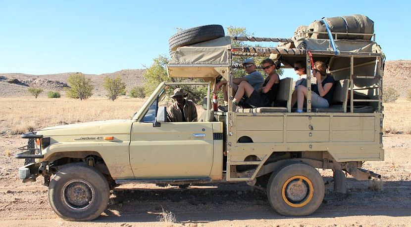 Desert Elephants in Namibia
