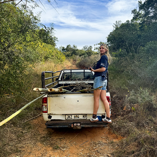 Wildlife Volunteering in South Africa: Travel Consultant Katie’s First-Hand Project Reviews