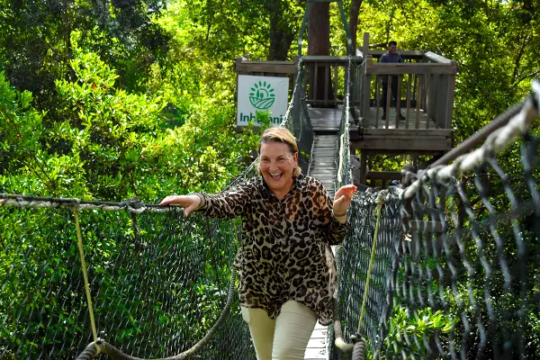 Canopy Walk in East Kalimantan