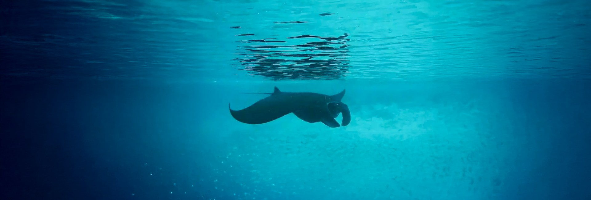 What Did Lena Have To Say About Her Time On The Raja Ampat Diving Project?