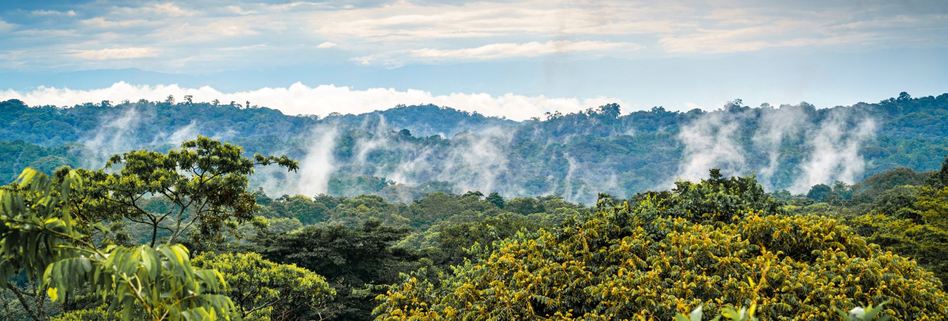 Janet & Mick's Unforgettable Gorilla Adventure