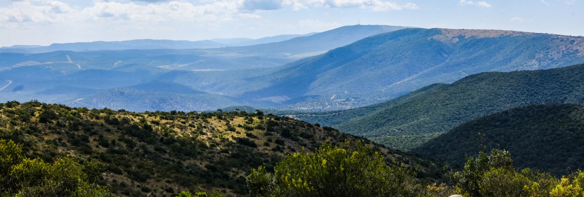 Shamwari Are Berry Happy To Welcome A New Resident! 