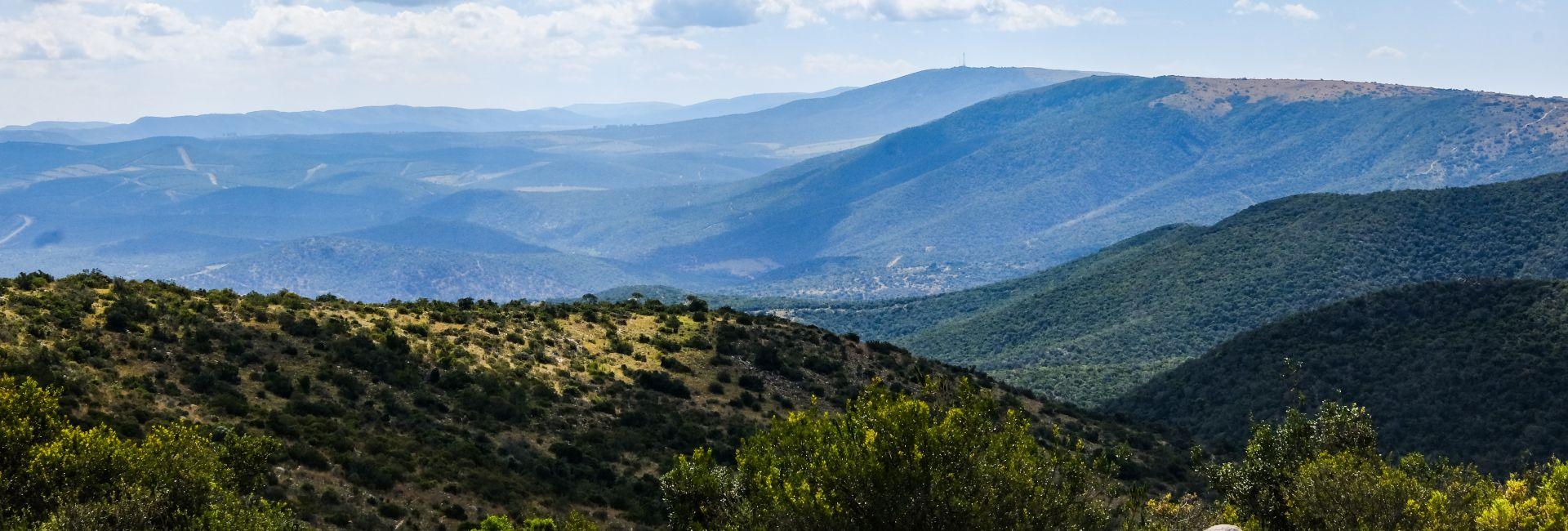 Shamwari Are Berry Happy To Welcome A New Resident!