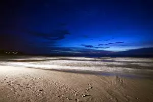 Beach Night Patrols