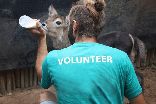 Working With The Animalsat the Wildlife Orphanage in South Africa