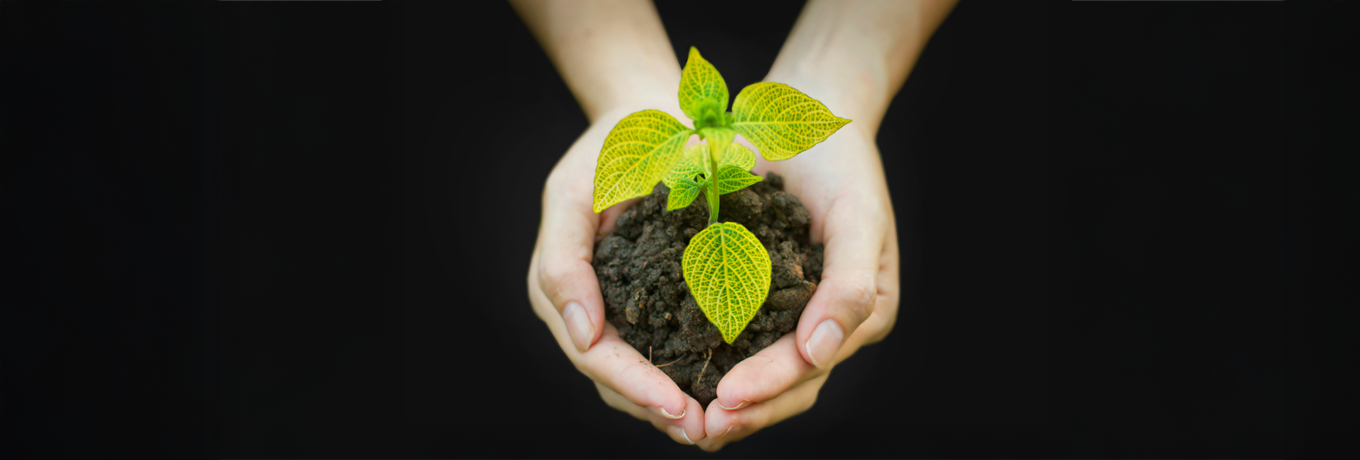 Earth Day 2017 - How You Can Learn More About The Earths Environmental Issues!