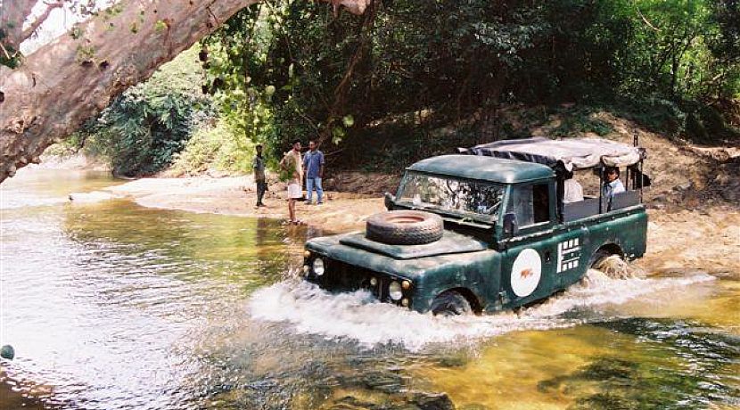 Volunteer in Sri Lanka with Elephants - Update