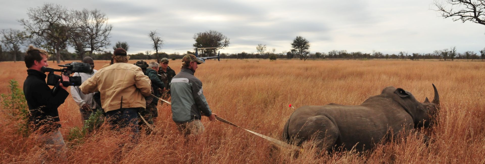  Alert: Launch of New Rhino Rescue Project!