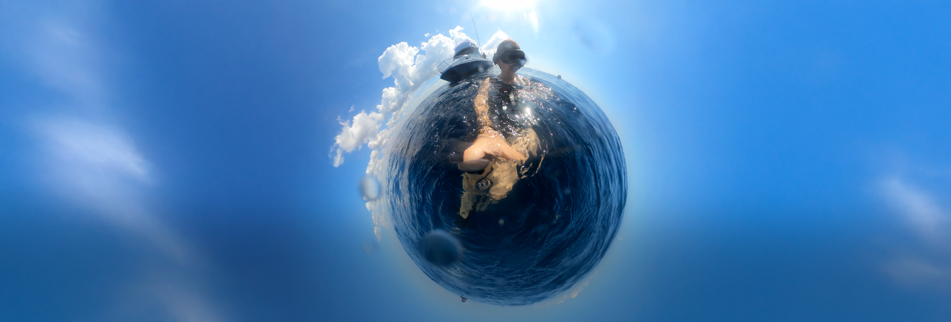 Beat the Winter Blues: Best Wildlife Volunteer Projects to Join This Winter