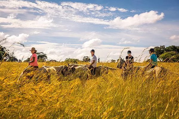 Horse Riding in Zimbabwe