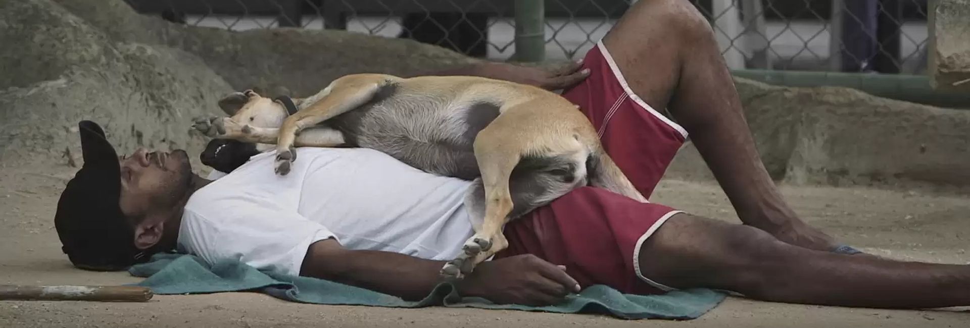 May's News In Review - Keep Up With The Top Stories From The Animal Kingdom!