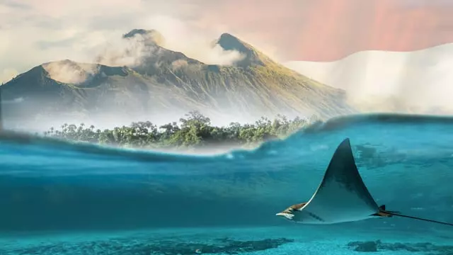 Volunteer in Indonesia with The Great Projects