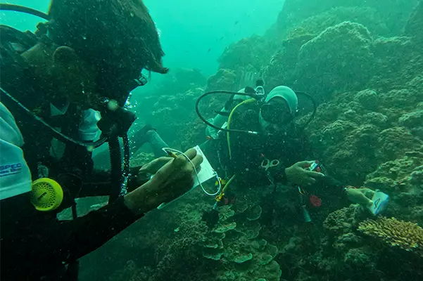 Marine Habitat Monitoring